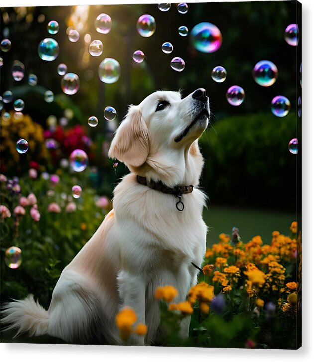 Bubbly Sunshine - Acrylic Print