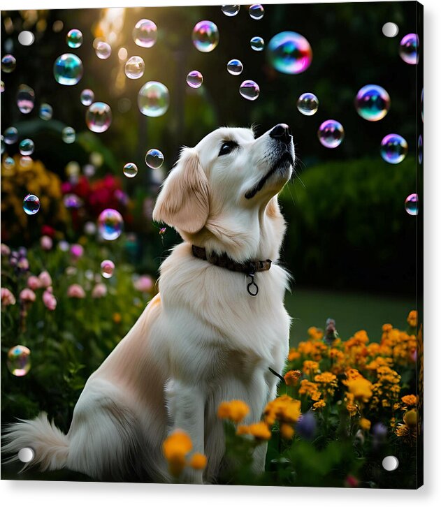 Bubbly Sunshine - Acrylic Print