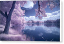 Switch Lavender Tranquility - Canvas Print 3 image