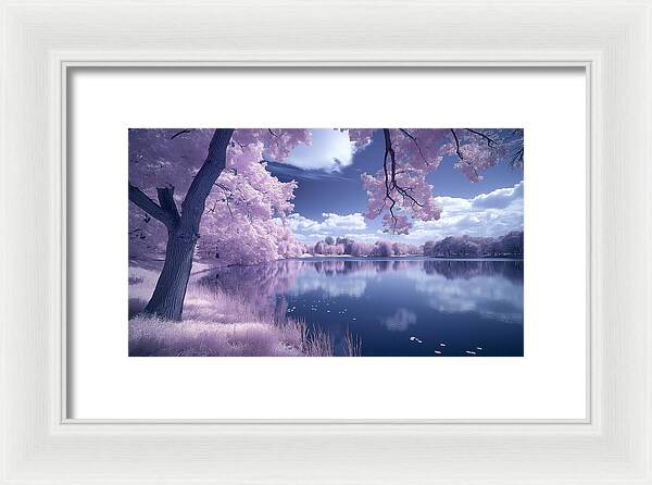 Lavender Tranquility - Framed Print