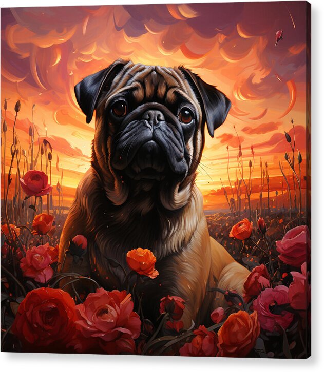 Pugs and Roses - Acrylic Print