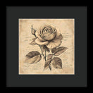 Switch Scripted Rose - Framed Print 2 image