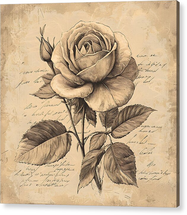 Scripted Rose - Acrylic Print