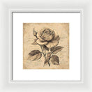 Switch Scripted Rose - Framed Print 3 image