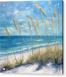 Switch Sunlit Sandscape - Acrylic Print 2 image