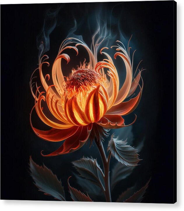 The Ember Lily - Acrylic Print