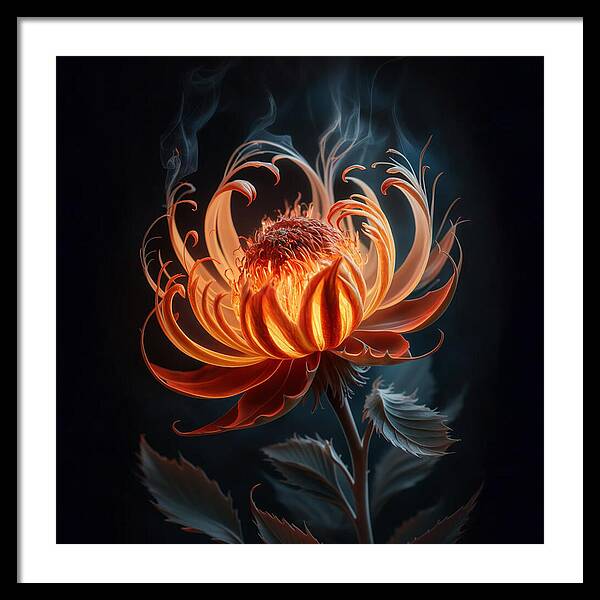 The Ember Lily - Framed Print