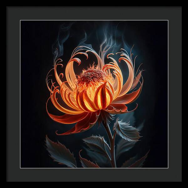 The Ember Lily - Framed Print