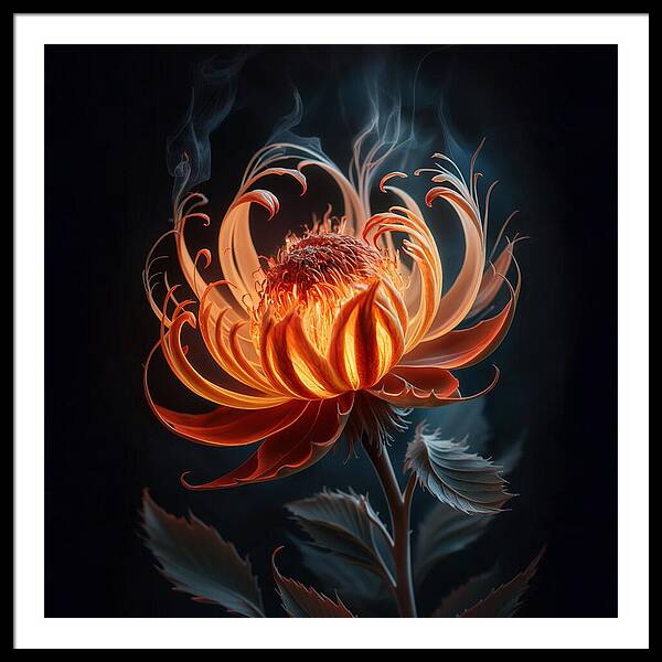 The Ember Lily - Framed Print