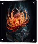 Switch The Ember Lily - Acrylic Print 2 image