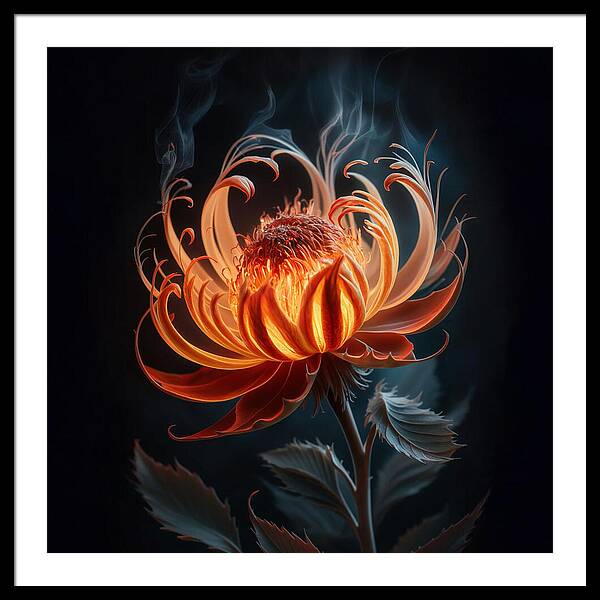 The Ember Lily - Framed Print