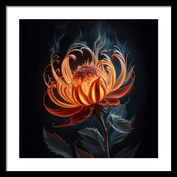 The Ember Lily - Framed Print