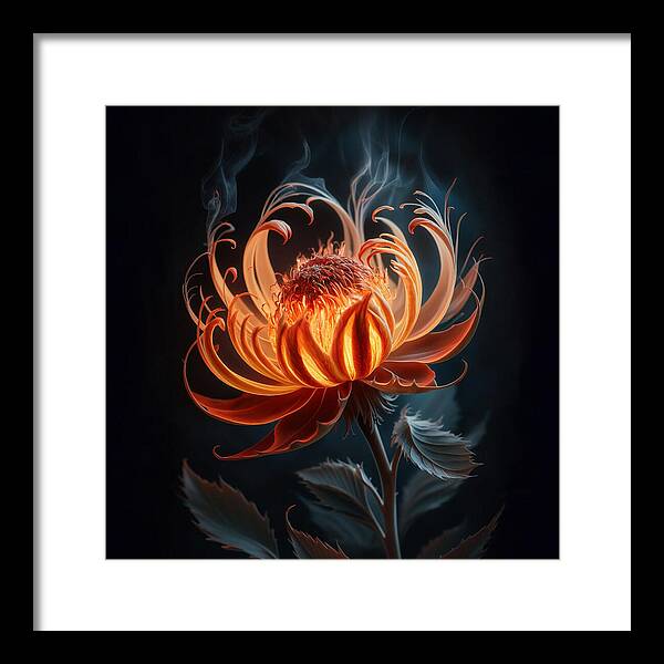 The Ember Lily - Framed Print