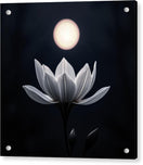 Switch Twilight Blossom - Acrylic Print 2 image