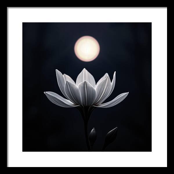 Twilight Blossom - Framed Print