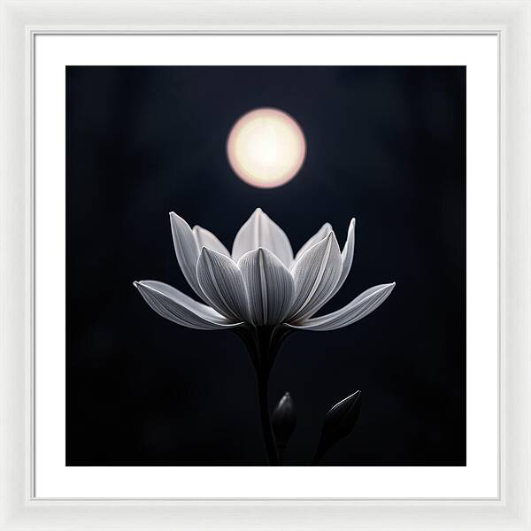 Twilight Blossom - Framed Print