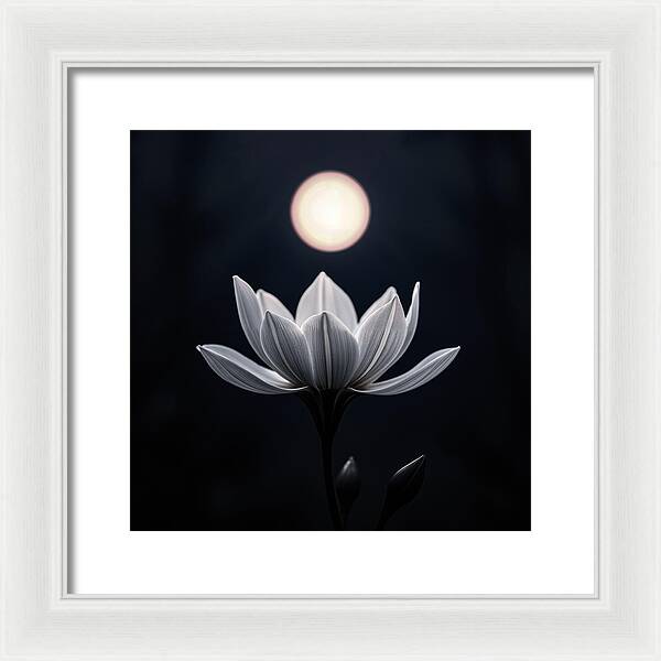 Twilight Blossom - Framed Print