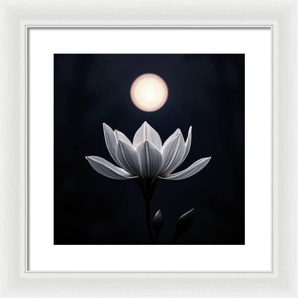 Twilight Blossom - Framed Print