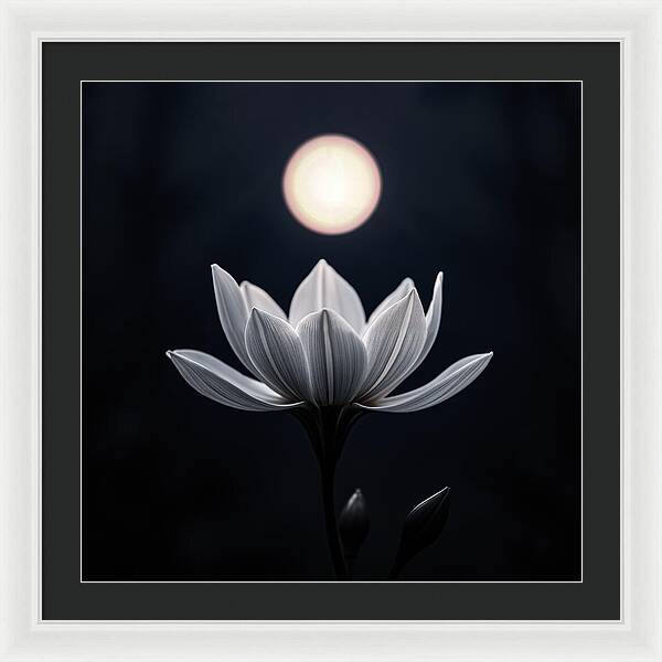 Twilight Blossom - Framed Print