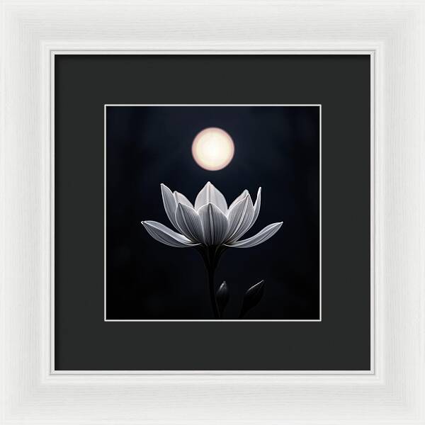 Twilight Blossom - Framed Print