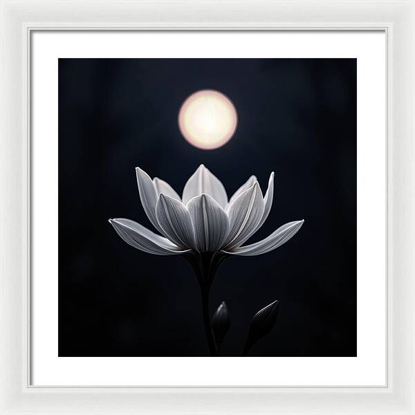 Twilight Blossom - Framed Print