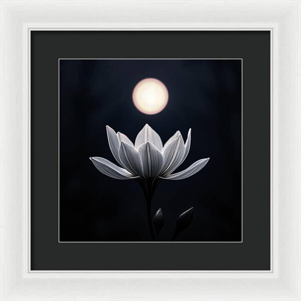 Twilight Blossom - Framed Print