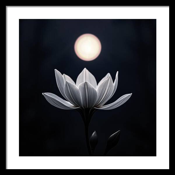 Twilight Blossom - Framed Print