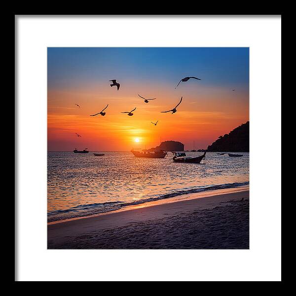 Twilight Soar - Framed Print