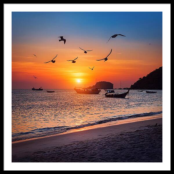 Twilight Soar - Framed Print