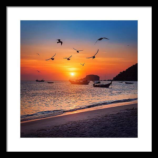 Twilight Soar - Framed Print