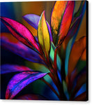 Switch Vivid Veil - Canvas Print 2 image