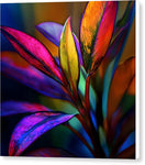 Switch Vivid Veil - Canvas Print 3 image