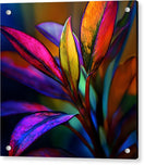 Switch Vivid Veil - Acrylic Print 2 image