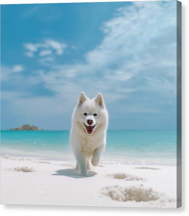 White Sands Wanderer - Canvas Print