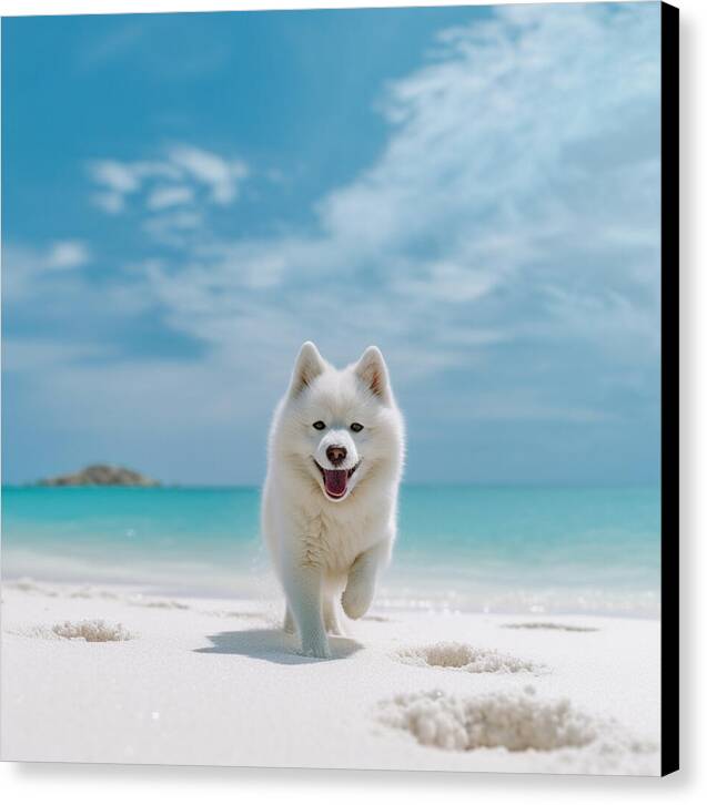 White Sands Wanderer - Canvas Print