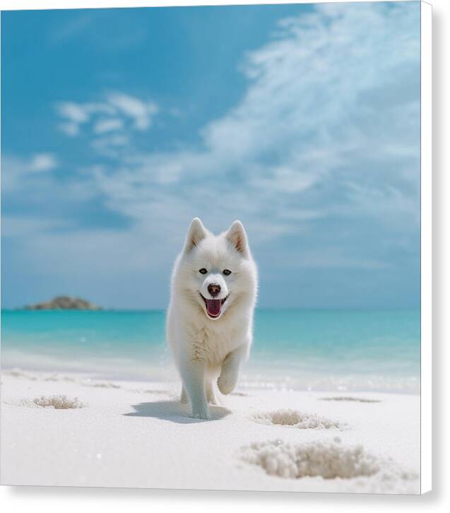 White Sands Wanderer - Canvas Print