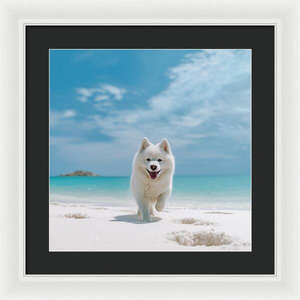 White Sands Wanderer - Framed Print