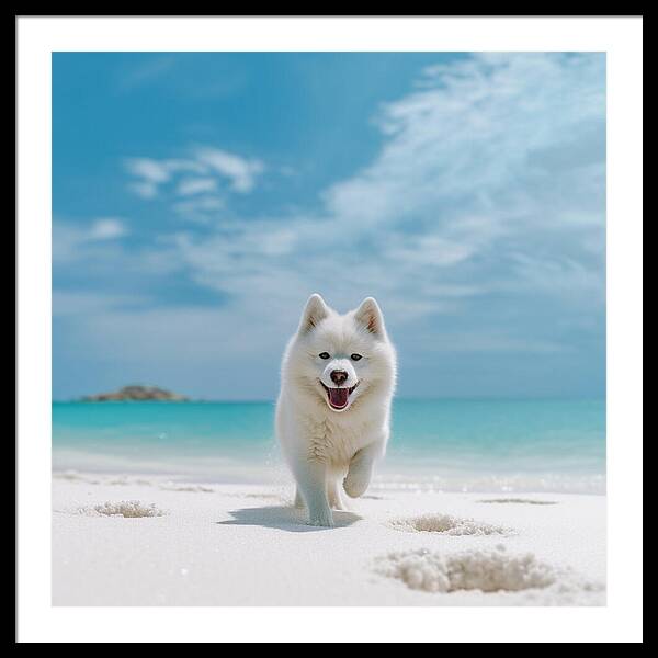 White Sands Wanderer - Framed Print