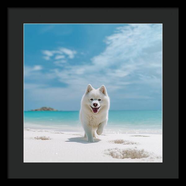 White Sands Wanderer - Framed Print