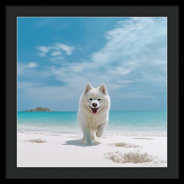 White Sands Wanderer - Framed Print