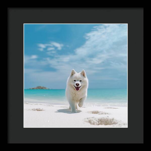 White Sands Wanderer - Framed Print