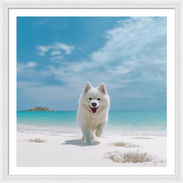 White Sands Wanderer - Framed Print