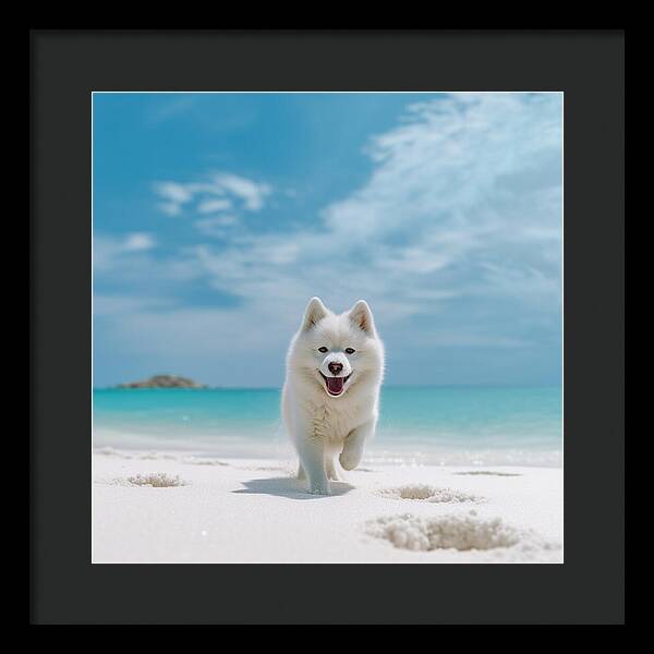 White Sands Wanderer - Framed Print