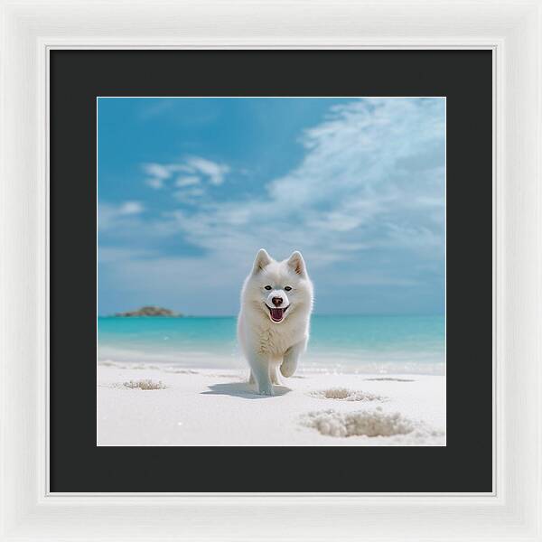 White Sands Wanderer - Framed Print