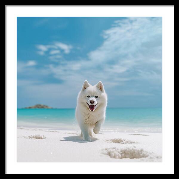 White Sands Wanderer - Framed Print