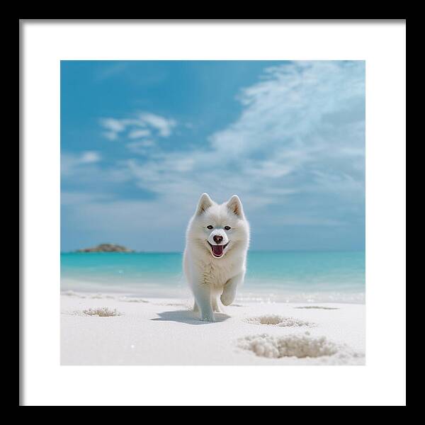 White Sands Wanderer - Framed Print