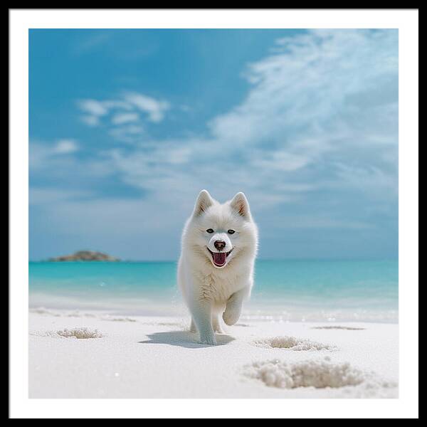 White Sands Wanderer - Framed Print