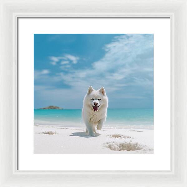 White Sands Wanderer - Framed Print