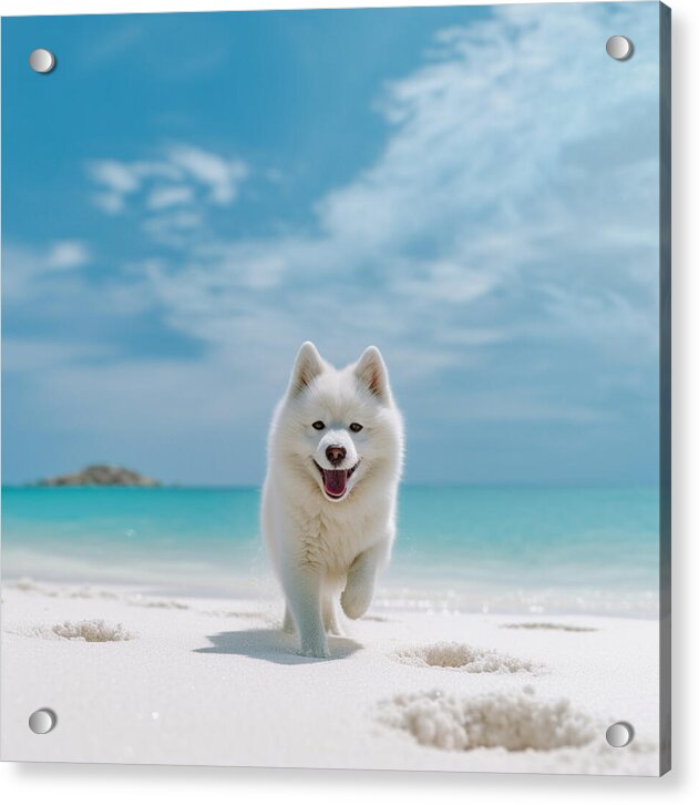 White Sands Wanderer - Acrylic Print