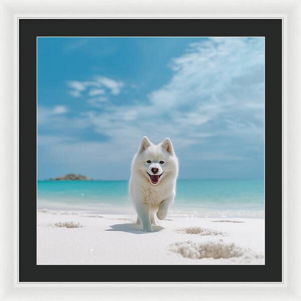 White Sands Wanderer - Framed Print